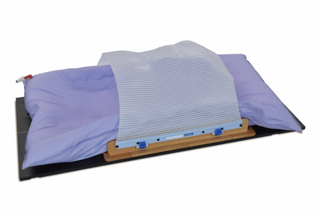 体部用固定プレート